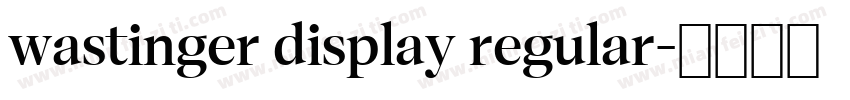 wastinger display regular字体转换